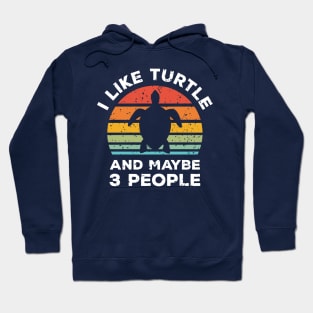 I Like Turtle and Maybe 3 People, Retro Vintage Sunset with Style Old Grainy Grunge Texture Hoodie